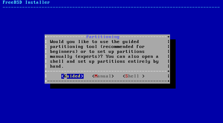 Selecting Guided or Manual Partitioning